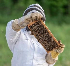 Beekeeping Suits Cotton